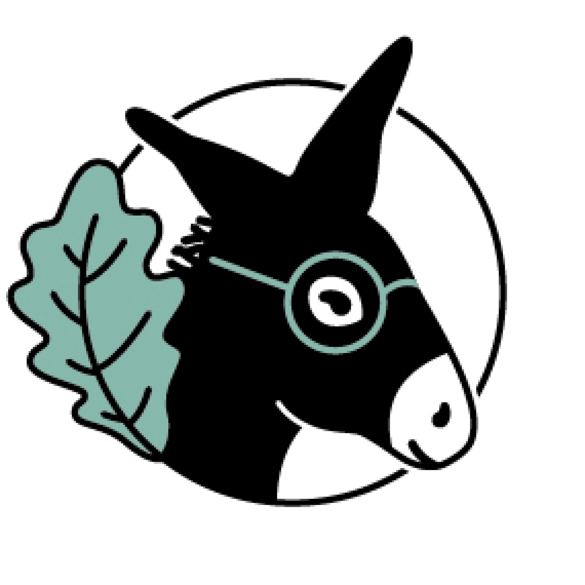 donkey_signet_acadamy_4c